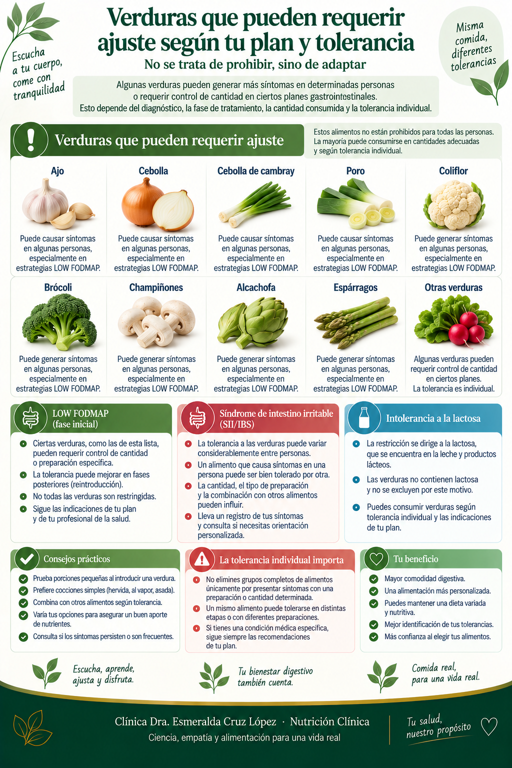 Guía sobre verduras que pueden requerir ajustes de cantidad o preparación en LOW FODMAP u otros planes gastrointestinales, sin presentarlas como prohibiciones universales.
