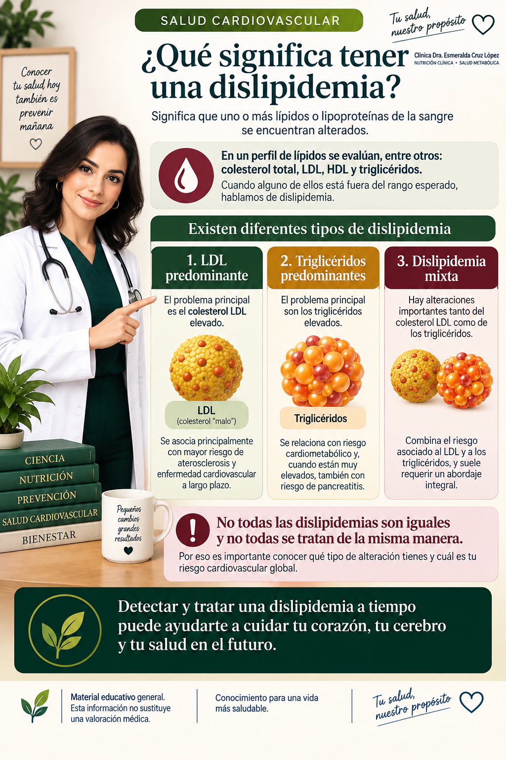 Infografía que explica qué es una dislipidemia y diferencia los patrones con LDL predominante, triglicéridos predominantes y alteración mixta.
