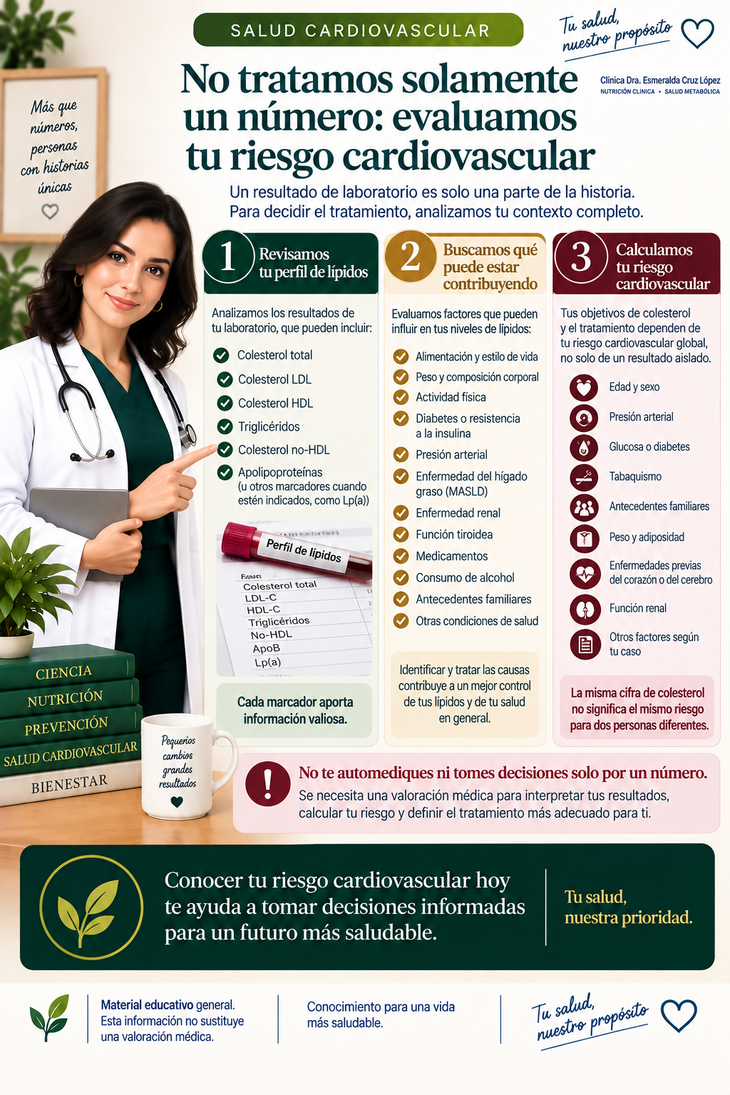 Infografía sobre la revisión del perfil de lípidos, la búsqueda de factores contribuyentes y la evaluación integral del riesgo cardiovascular.