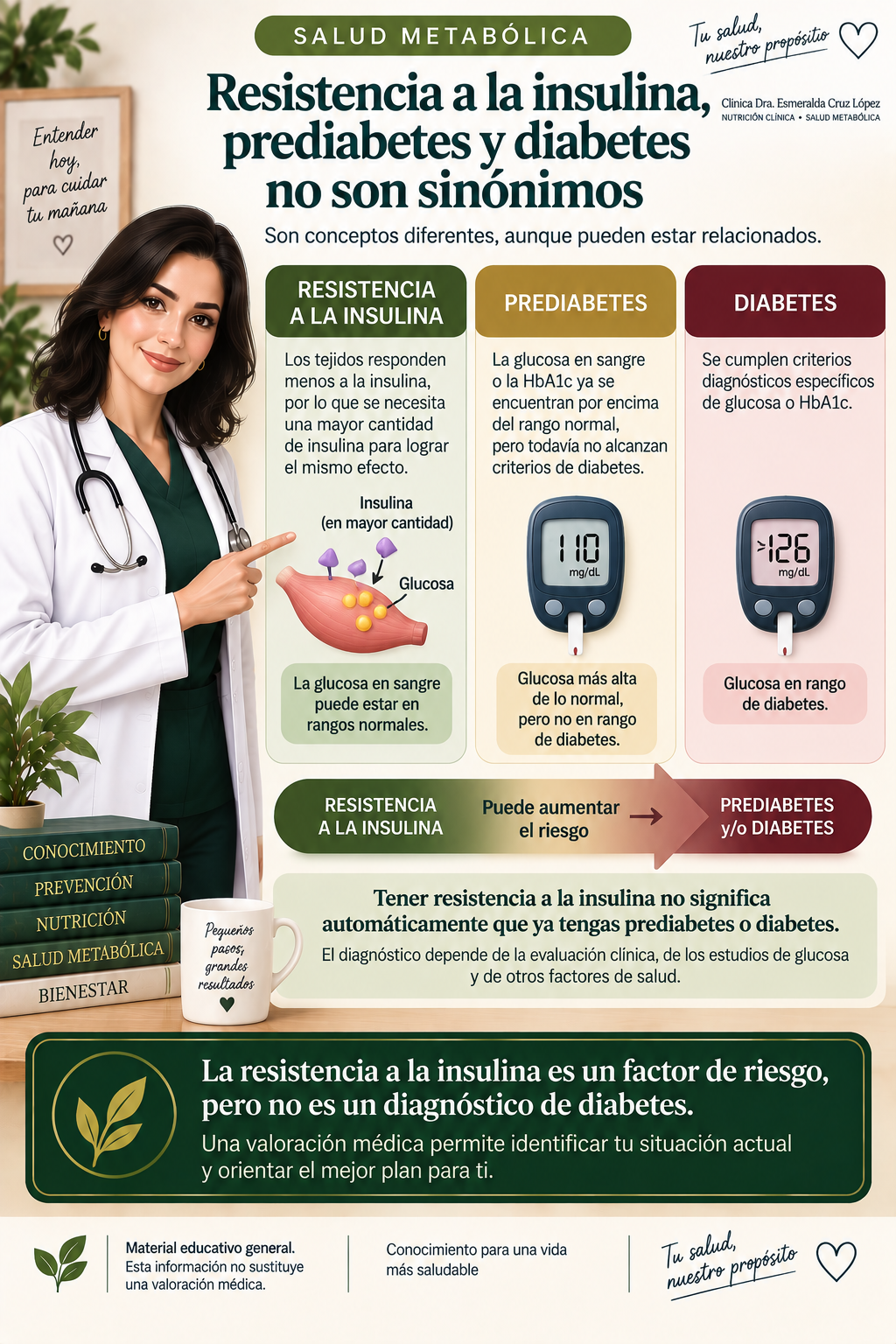 Infografía que diferencia resistencia a la insulina, prediabetes y diabetes y aclara que la primera es un factor de riesgo, no un diagnóstico de diabetes.