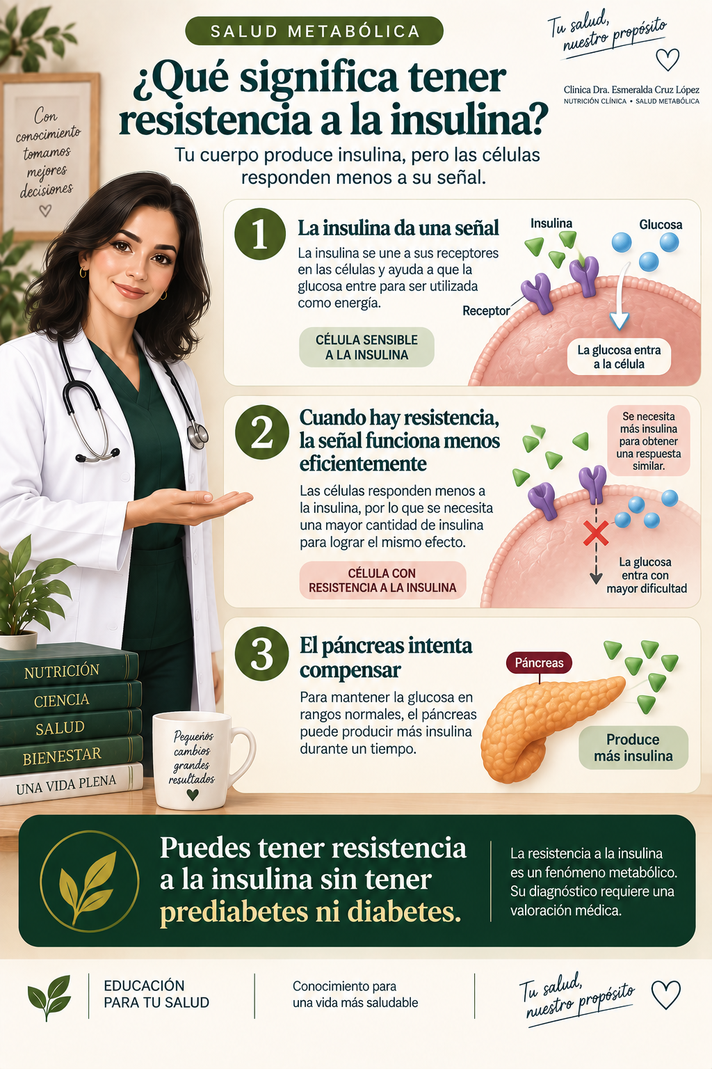 Infografía que explica la señal de la insulina, la respuesta menos eficiente de los tejidos y la compensación del páncreas mediante mayor producción de insulina.